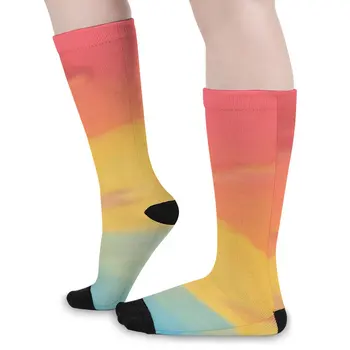 Носки с принтом Sunset, Тонкие Элегантные чулки Pan Flag, Осенние антибактериальные женские носки, Качественные графические носки для скейтборда